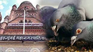 Permission to feed pigeons at four places in Mumbai