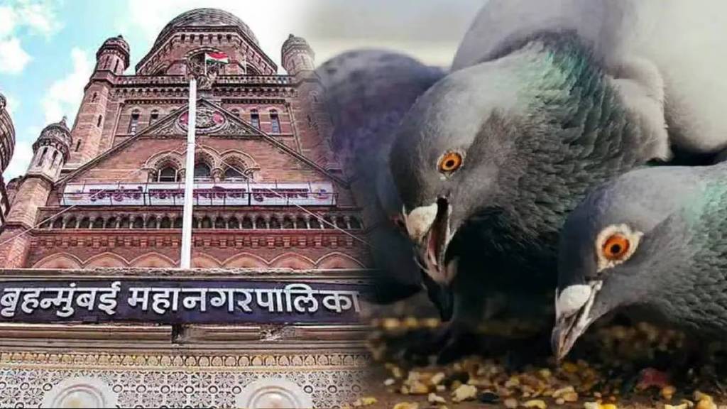 Permission to feed pigeons at four places in Mumbai