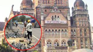 Permission to feed pigeons at four places in Mumbai