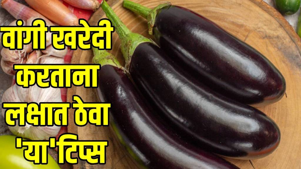 buying-Brinjal-With-No-Worms