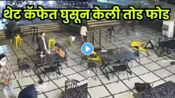 धक्कादायक! कॅफेवर २० दंगेखोरांचा हल्ला; काचा फोडल्या अन्…, VIDEO पाहून बसेल धक्का