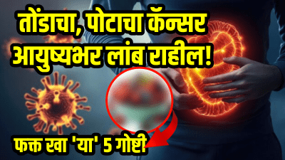 तोंडाचा, पोटाचा कॅन्सर आयुष्यभर लांब राहील! दररोज फक्त ‘या’ ५ गोष्टी खा, डॉक्टरांच्या या सल्ल्याने वाचेल जीव…
