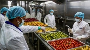 direct sale of food items