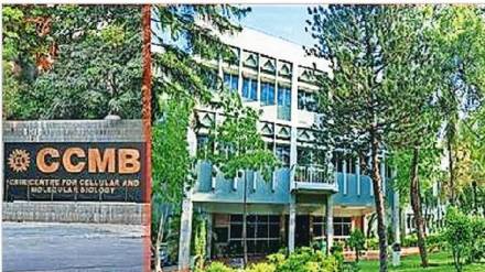 Loksatta kutuhal Center for Cellular and Molecular Biology Loksatta kutuhal Center for Cellular and Molecular Biology