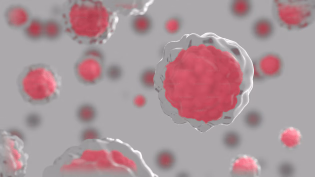 connection between grey hair and cancer