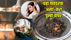 सकाळी चहा करून पावडर फेकून देता? मग थांबा! अशापद्धतीने करा पुन्हा वापर; पैसेही वाचतील