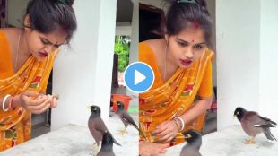 Woman calling the birds, each one responding to her commands.