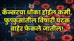 कॅन्सरचा धोका होईल कमी, फुप्फुसांतील घाणही होईल स्वच्छ; फक्त ‘ही’ ४ पेयं प्या, डॉक्टर सांगतात आश्चर्यकारक फायदे!
