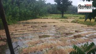 loksatta explained climate crisis impact on kokan farming farmers struggle to survive print exp