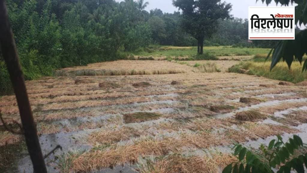 loksatta explained climate crisis impact on kokan farming farmers struggle to survive print exp