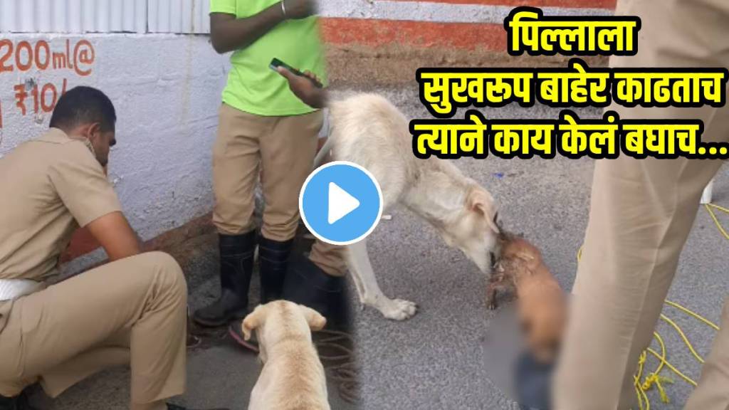 cop-rescue-puppy-from-drain cop-rescue-puppy-from-drain