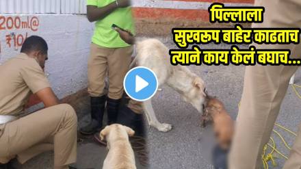 cop-rescue-puppy-from-drain cop-rescue-puppy-from-drain