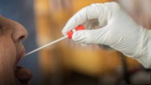 organ transplant covid test update