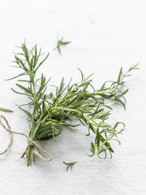 Rosemary oil benefits for hair