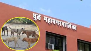 sterilization of 5643 dogs in Dhule