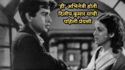 बहिणीच्या निधनानंतर तिच्या नवऱ्याबरोबर केलेले लग्न, दिलीप कुमार यांच्या प्रेमात पडलेल्या अन्…; ‘या’ अभिनेत्रीबद्दल घ्या जाणून …