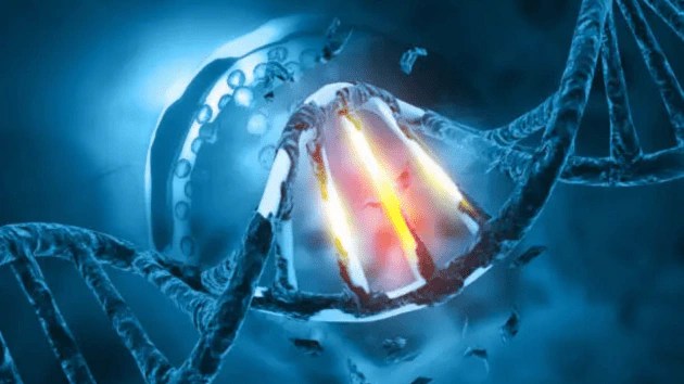 connection between grey hair and cancer