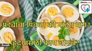 Egg yolk can be reason for heart attack?