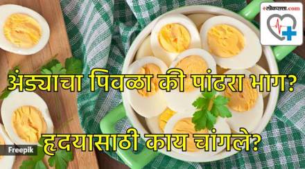 Egg yolk can be reason for heart attack? Egg yolk can be reason for heart attack?