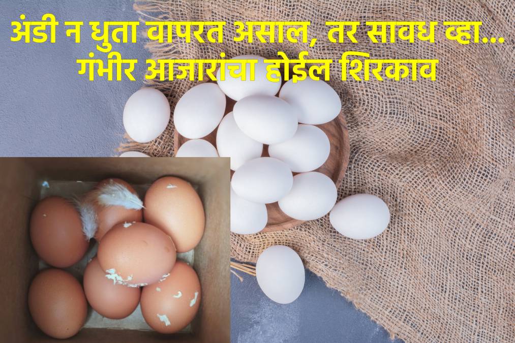 अंडी स्वच्छ धुणे का गरजेचे आहे?