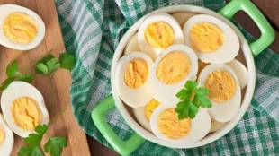 Boiled egg after exercise in cold weather; best source of energy for the body