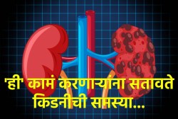 तुमची नोकरी काय आहे? ‘या’ ४ प्रकारचं काम करणाऱ्यांना भेडसावते किडनीची समस्या, अचानक होऊ शकतात किडनी निकामी