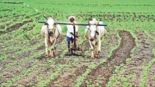 5 progressive farmers from Gadchiroli will go on a foreign tour