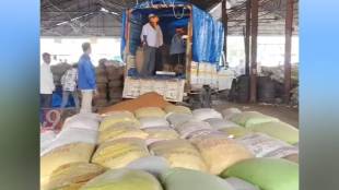 farmers demand compensation after rabi crop damage dhule news