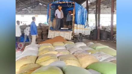 farmers demand compensation after rabi crop damage dhule news farmers demand compensation after rabi crop damage dhule news