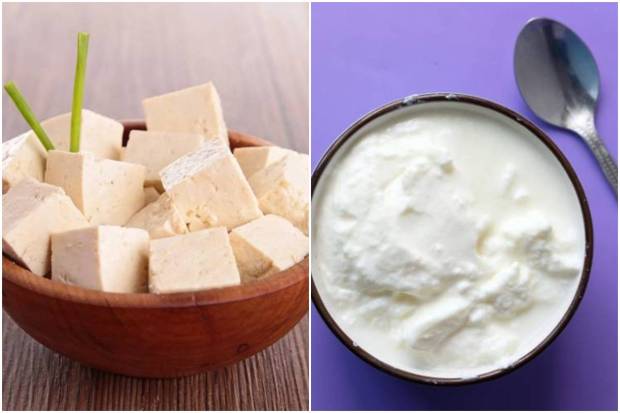 importance of protein for women