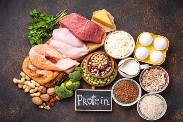 importance of protein for women