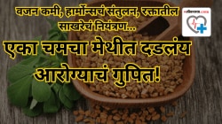 मेथीच्या बियांमुळे खरंच वजन कमी होतं का? हार्मोन्स संतुलित राहतात का? डॉक्टरांकडून जाणून घ्या सर्वाधिक विचारल्या जाणाऱ्या प्रश्नांची उत्तरं!