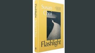 flashlight novel explores fragmented identities across history and geography