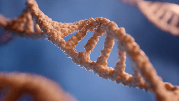 Young people with early grey hair problems reason