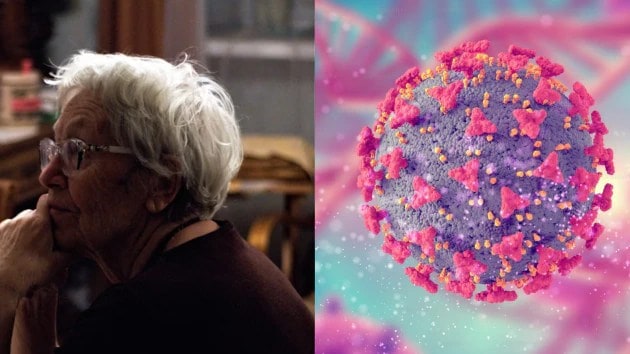 connection between grey hair and cancer