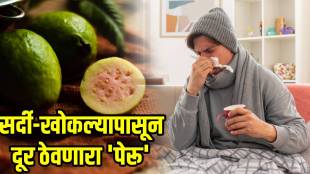 guava-health-benefits-in-winter