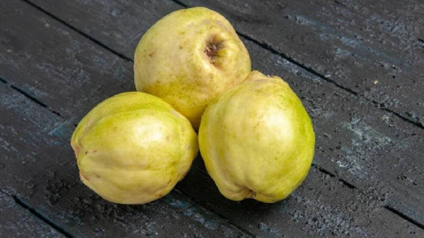 gvavha-health-benefits