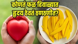 आंब्यापेक्षाही चविष्ट असतं ‘हे’ फळ; हिवाळ्यात हृदय ठेवतं निरोगी, ठणठणीत! कसं खायचं ते तज्ज्ञांकडून जाणून घ्या…