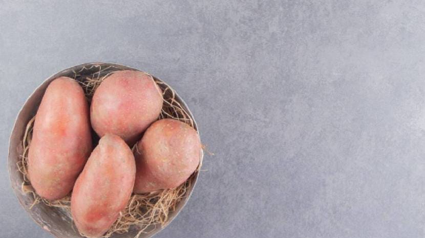 health-benefits-sweet-potato-in-marathi