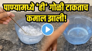 how to remove mosquito from house home remedy for macchar to remove in home Tips and Tricks