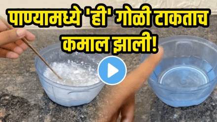 how to remove mosquito from house home remedy for macchar to remove in home Tips and Tricks how to remove mosquito from house home remedy for macchar to remove in home Tips and Tricks
