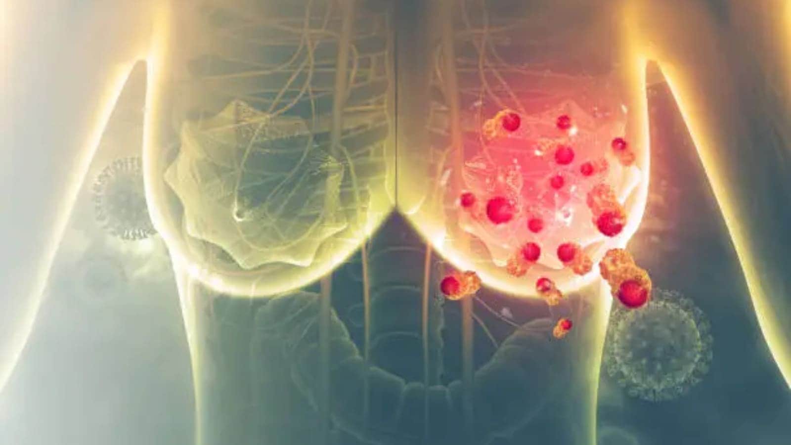 पौष्टिकतेच्या बाबतीत उत्कृष्ट, अँटिऑक्सिडन्ट्सने भरलेले अन्न पेशींचं नुकसान होण्यापासून रोखू शकते आणि कर्करोगाच्या वाढीशी संबंधित हार्मोन्स नियंत्रित करू शकते. आज आम्ही तुम्हाला अशाच काही पदार्थांची माहिती देणार आहोत. (PC : Unsplash)