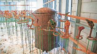 how both artist sahrmila samant and mithu sen transform personal vision into universal artistic statement of identity