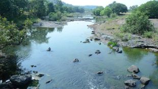 Maharashtra government transfers 263 hectares forest land for irrigation project in Alibag kokan