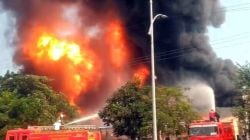 Jalgaon Fire News : जळगावमधील औद्योगिक वसाहतीत केमिकल कंपनीला भीषण आग…