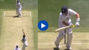 joe root mitchell starc