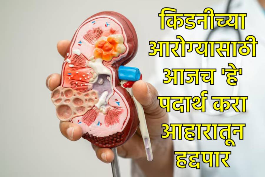 Kidney Health