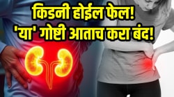 किडनी होईल फेल! रोजच्या ‘या’ ३ गोष्टी आताच करा बंद; नाहीतर लघवीत रक्त, इन्फेक्शन आणि…