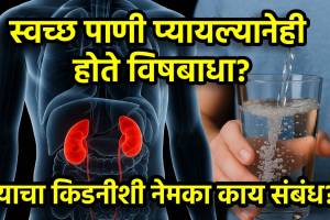 kidney health