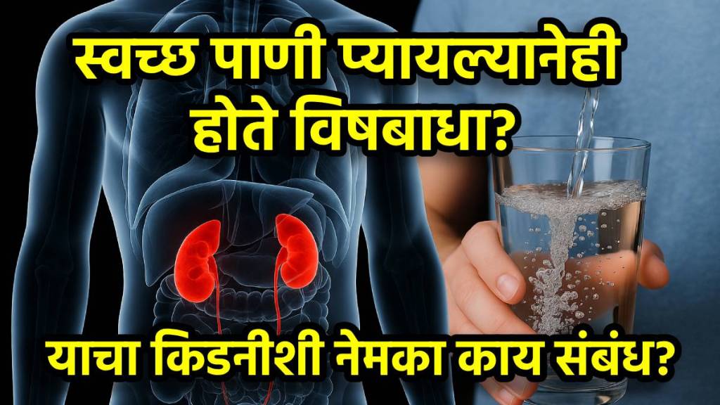 kidney health kidney health